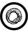 Wormholedeath_logo_NEW_2016_steven-art-black_small-removebg-preview