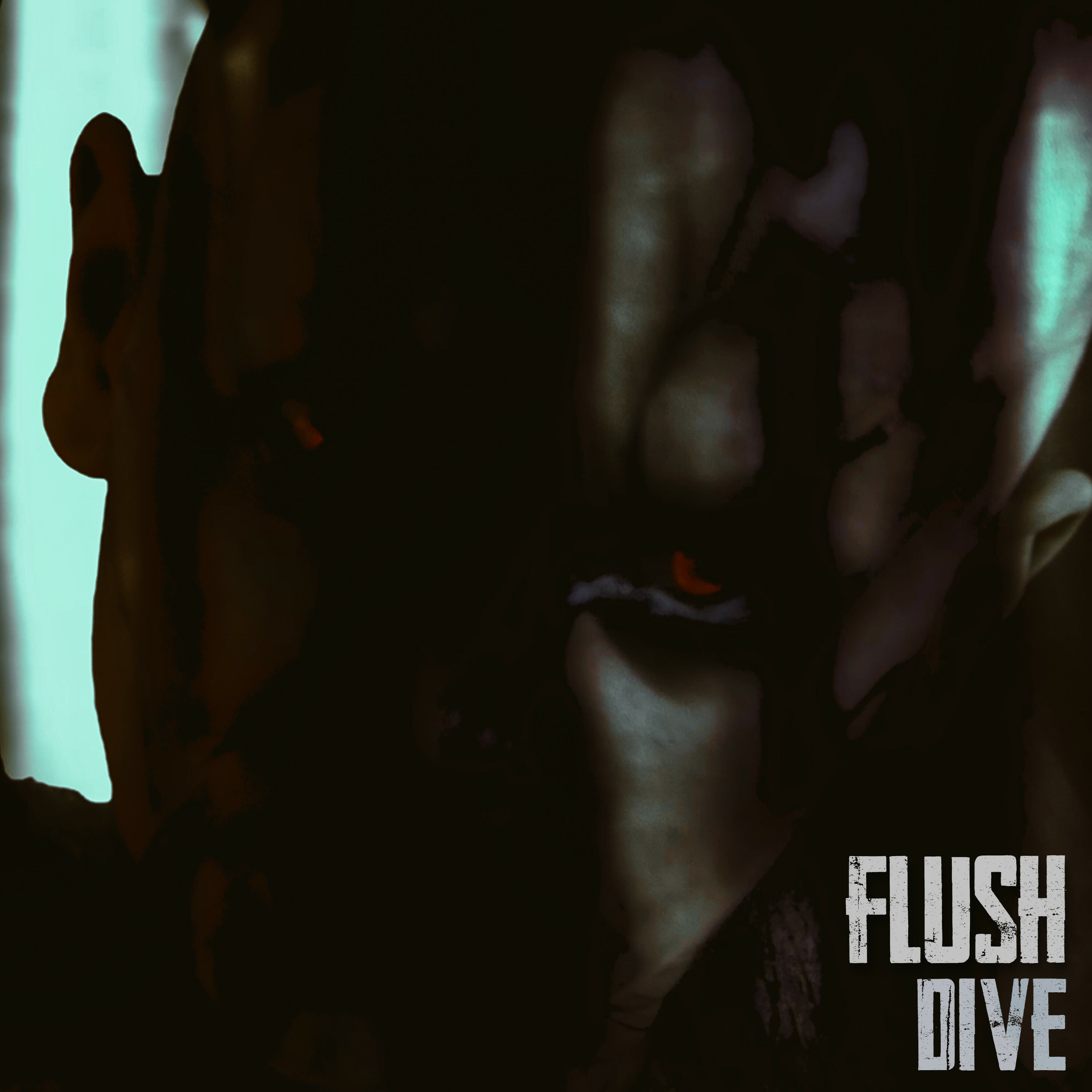 flush_single2_dive_cover