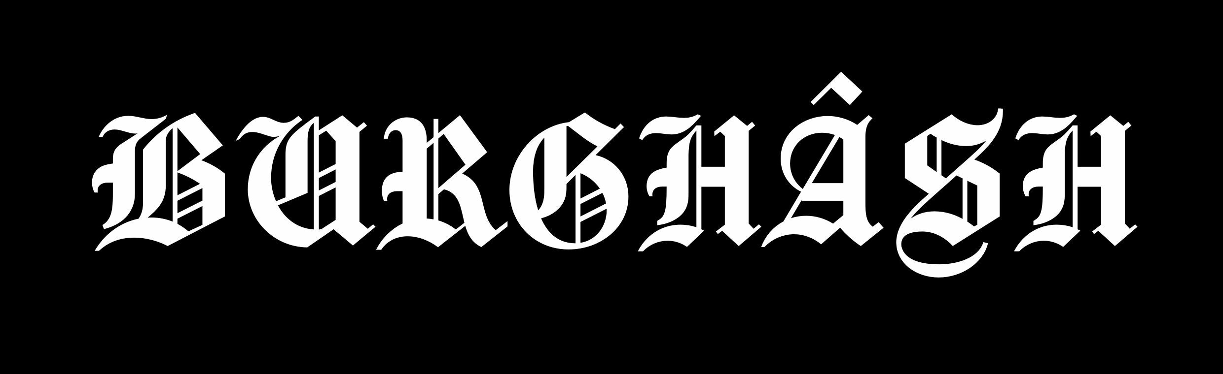 Logo_Burghsh