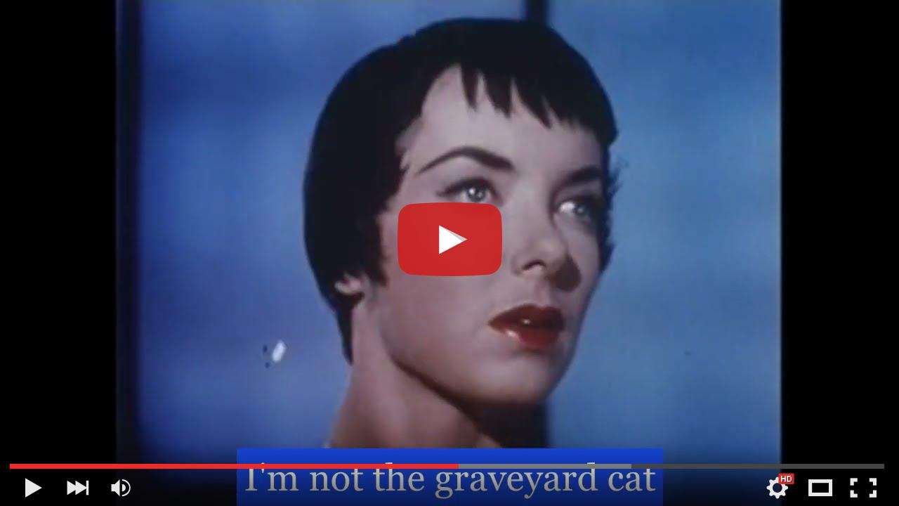video_preview_12ca1dea45c66f775099d245b9eb00af.jpg