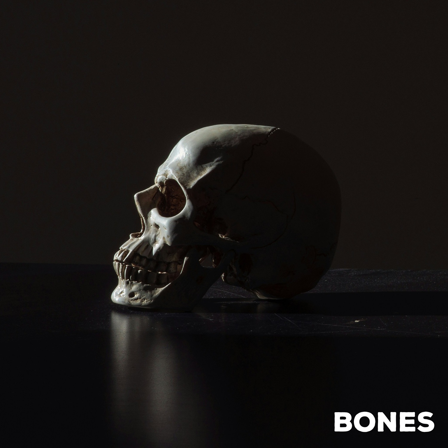 bones_single_artwork_2