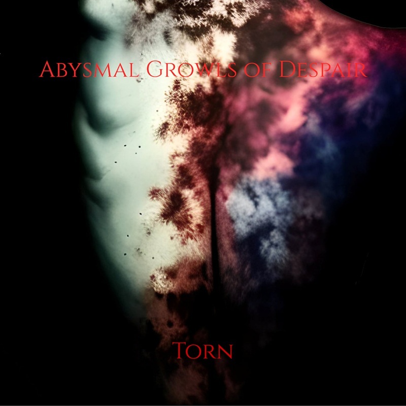 Torn_cd_cover_1600_s