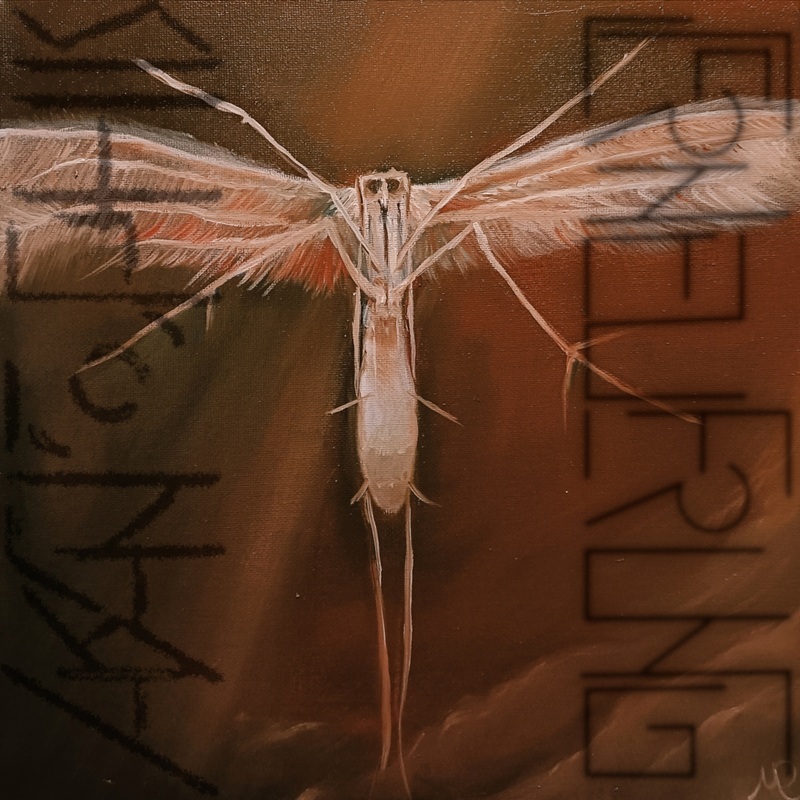 Akantophis_-_Erneuerung_Cover